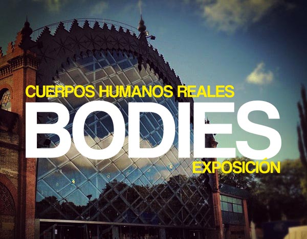 bodies-sevilla-2022