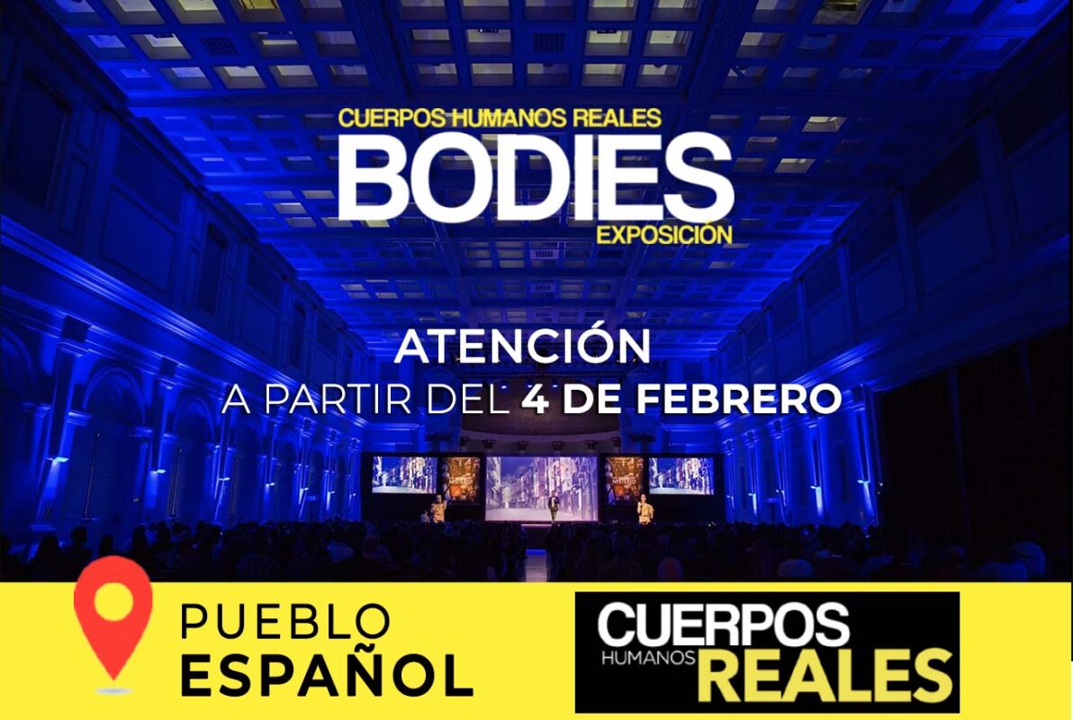 bodies_llega_a_mallorca